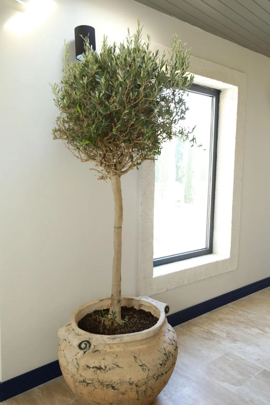 Lobby, Ariel Hotel Alacati, Izmir
