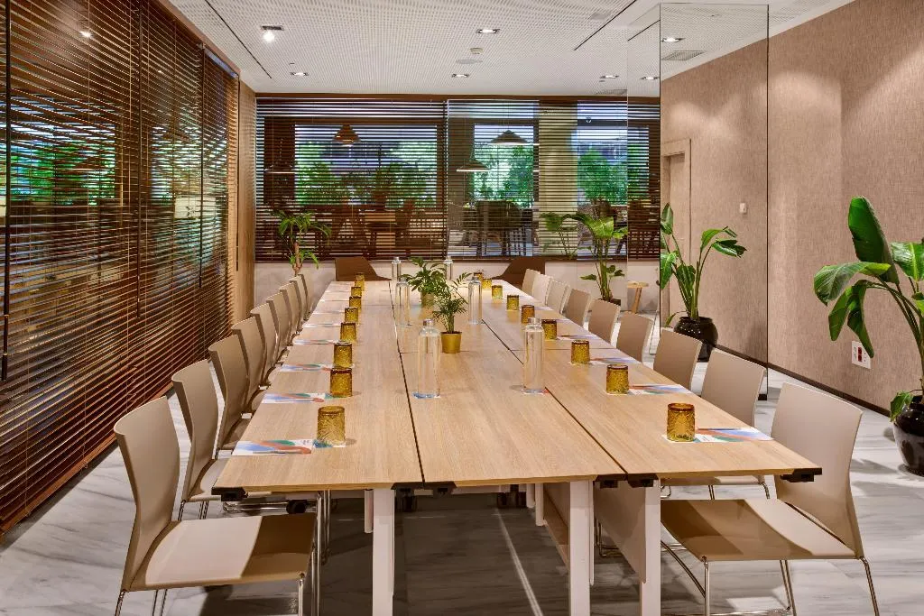 Conferences, Melia Madrid Serrano, Madrid