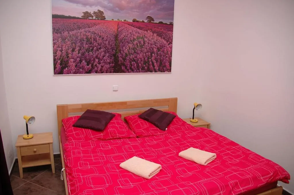 Room, Penzion V Roklích, Prague