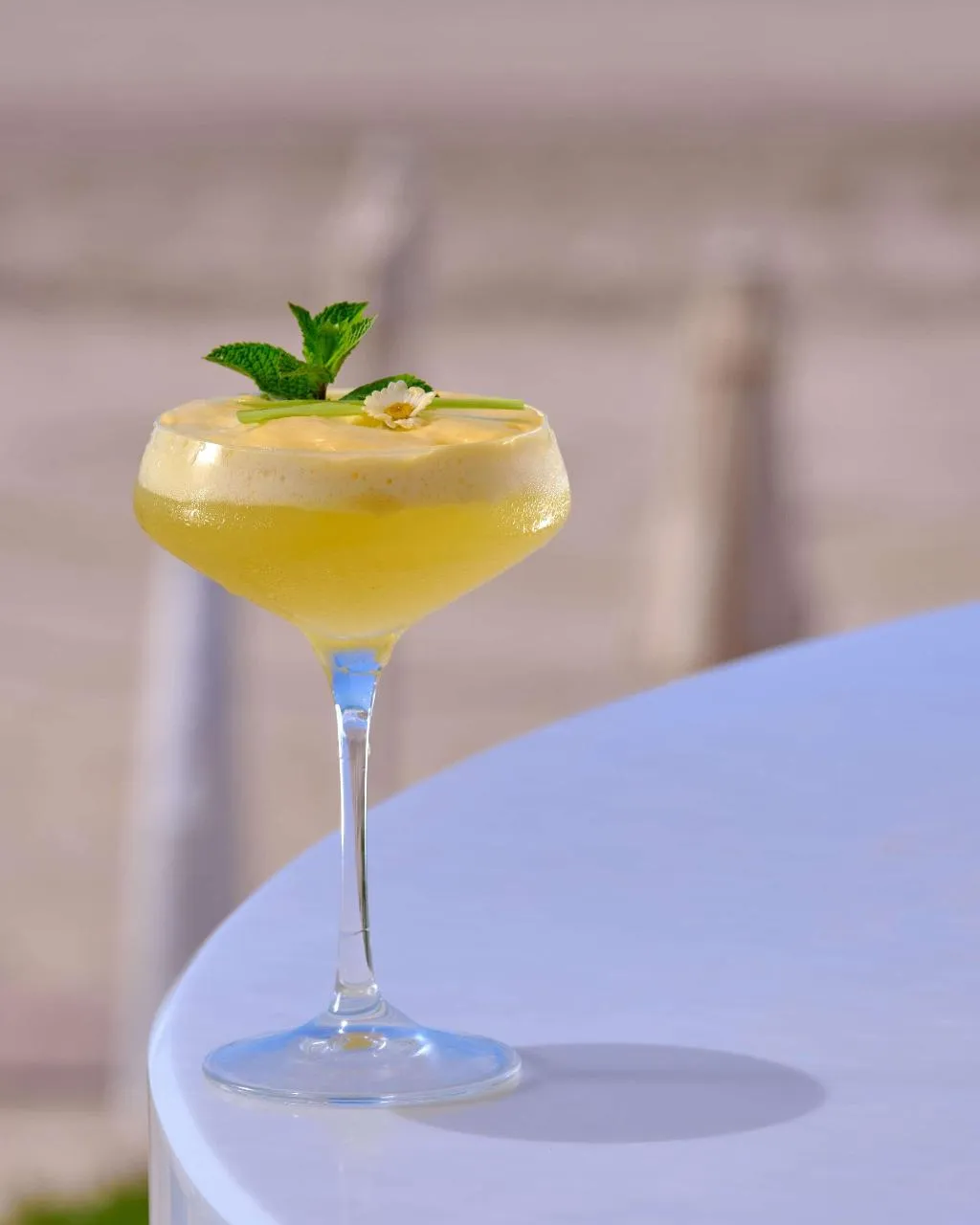 Bar, Mazagan Beach & Golf Resort, Casablanca