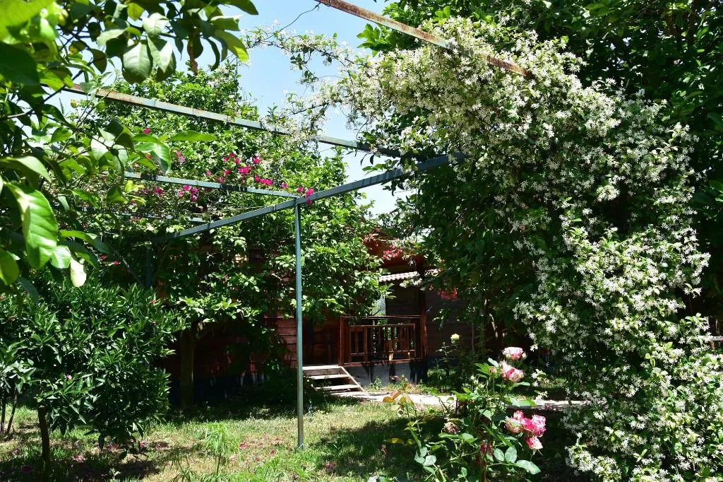 General view, Lemon Garden Lodge, Antalya