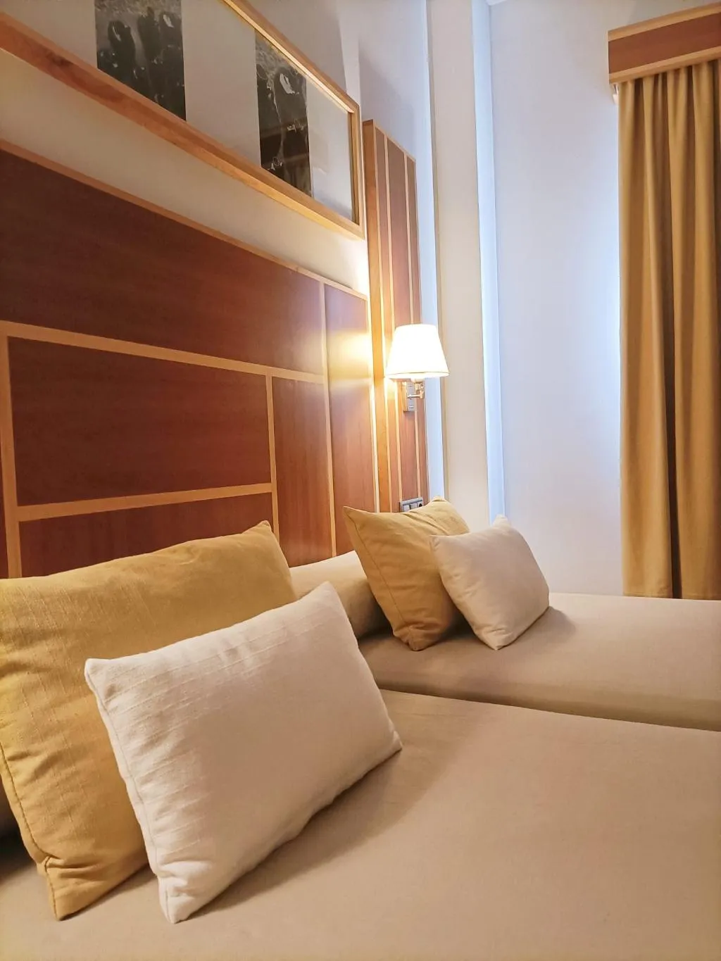 DOUBLE SINGLE USE STANDARD Room, Hotel Carmen, Costa Del Sol