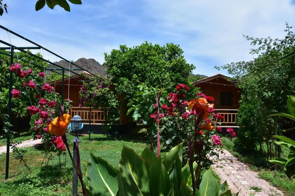 General view, Lemon Garden Lodge, Antalya