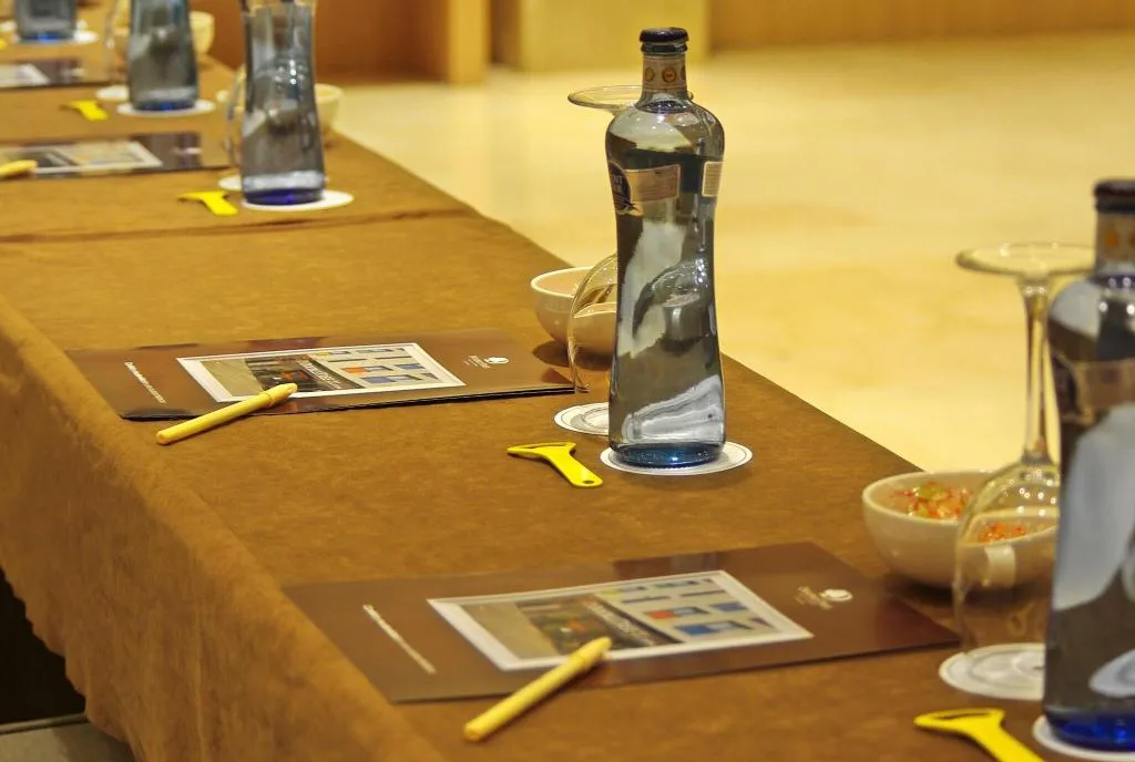 Conferences, Double Tree by Hilton Girona, Costa Brava