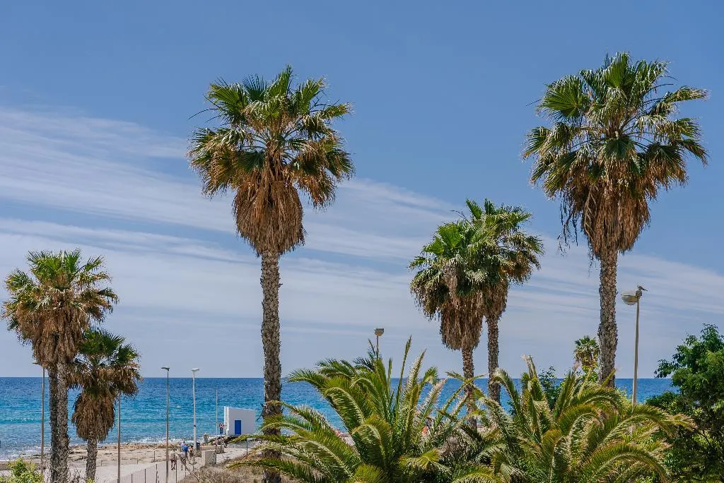 General view, Port Europa, Costa Blanca
