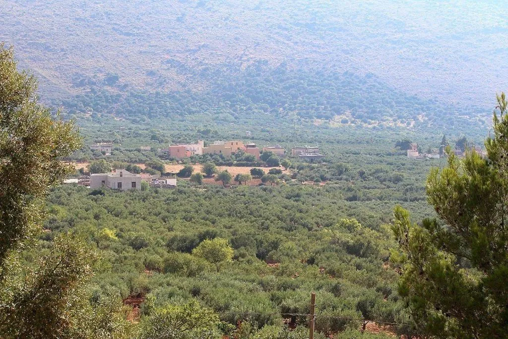 General view, Villa Verdesca, Palermo