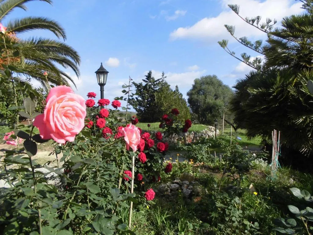 General view, Agroturismo Na Set Centes, Majorca