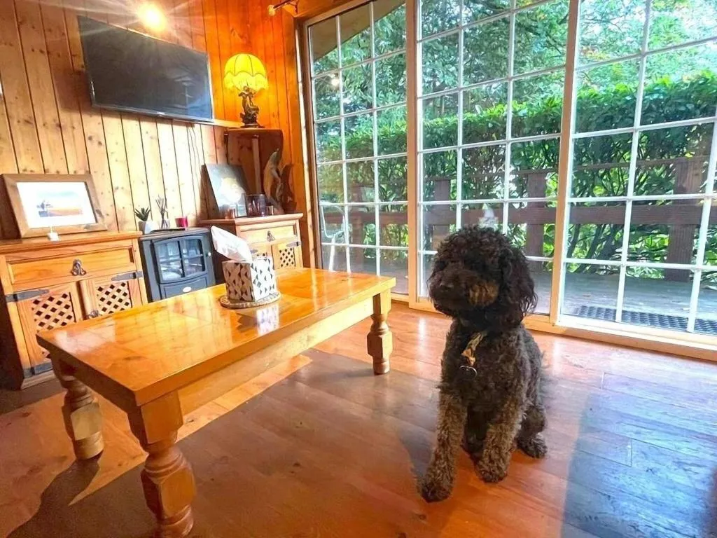 Lobby, Robin Hill House, Cork