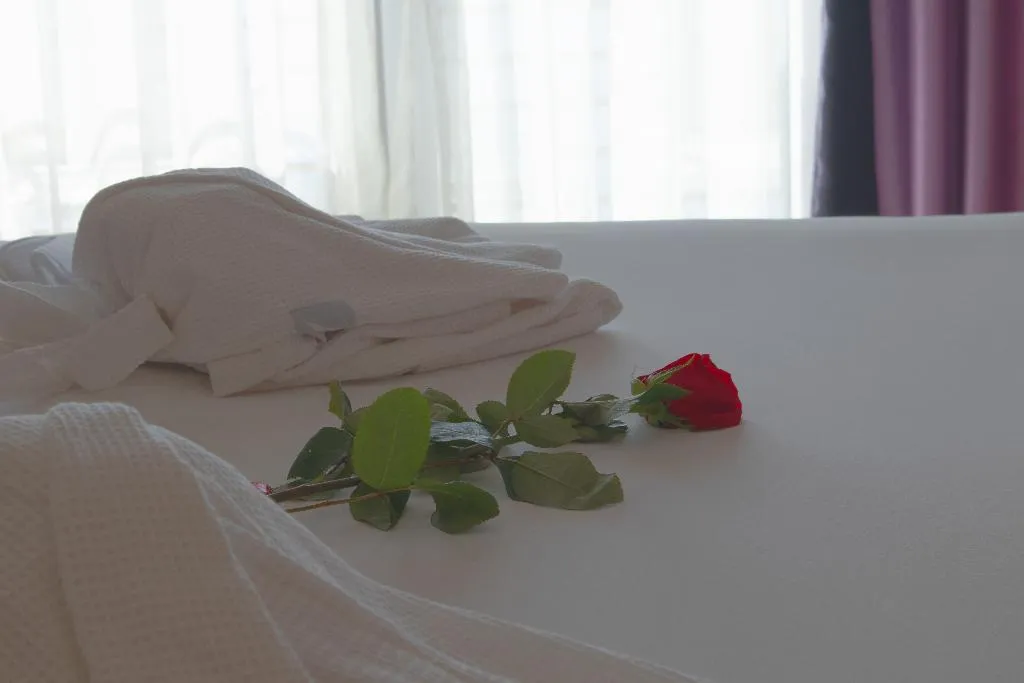 Room, SANA Sesimbra, Lisbon