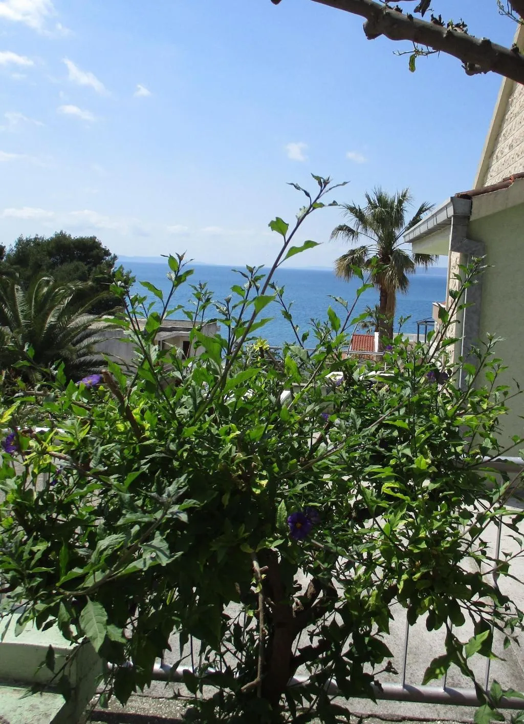 General view, Pink Inn, Split