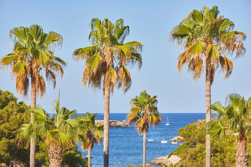 Double or Twin SUPERIOR SEA VIEW Room, Hotel Rocamarina, Majorca
