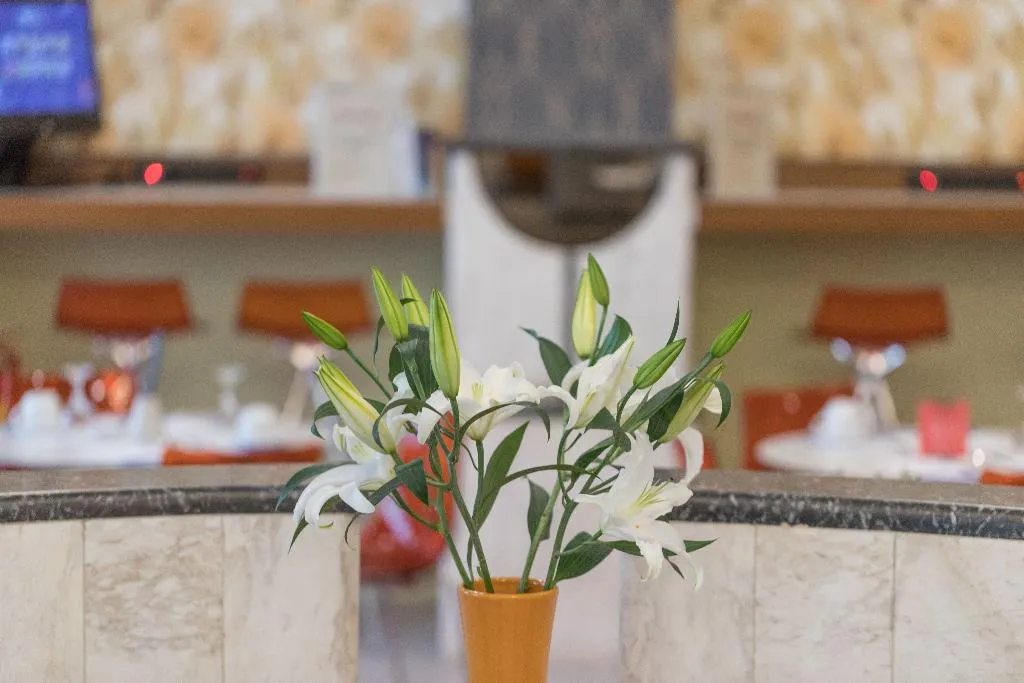 Lobby, My Athens Hotel, Athens