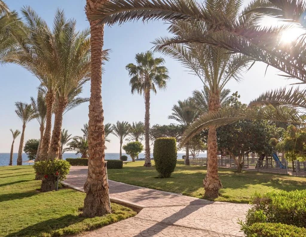 General view, Serenity Alpha Beach, Red Sea Riviera
