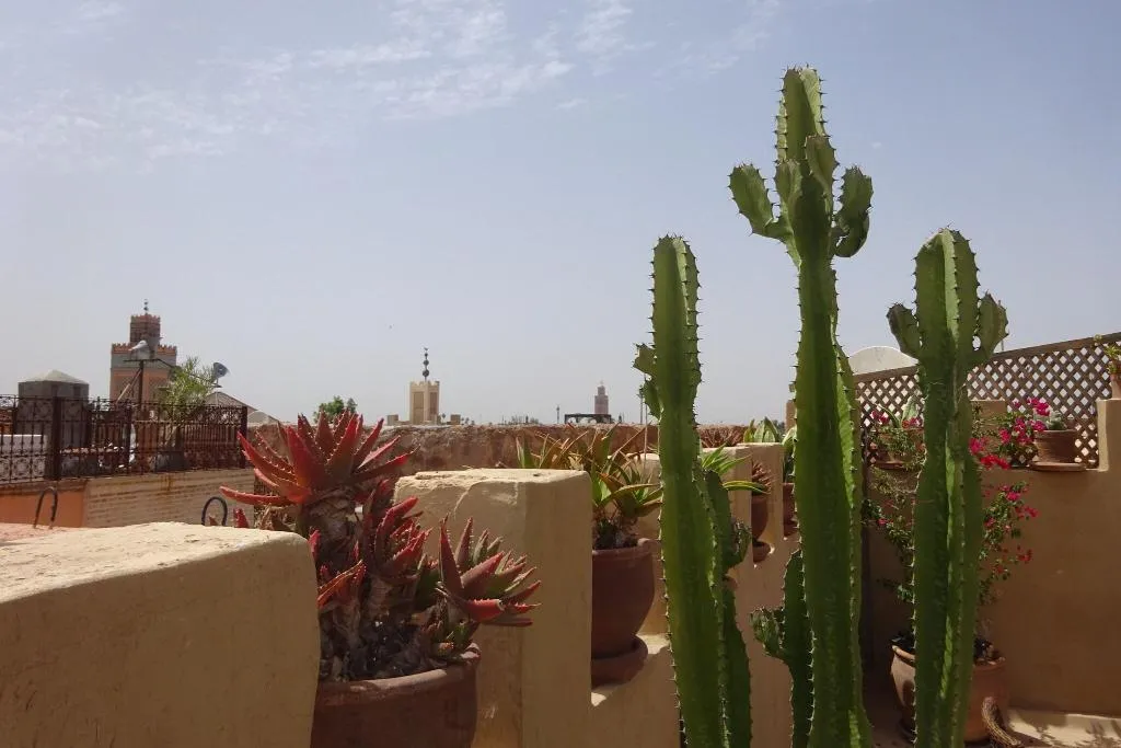 Terrace, Riad Dar Massai, Marrakech