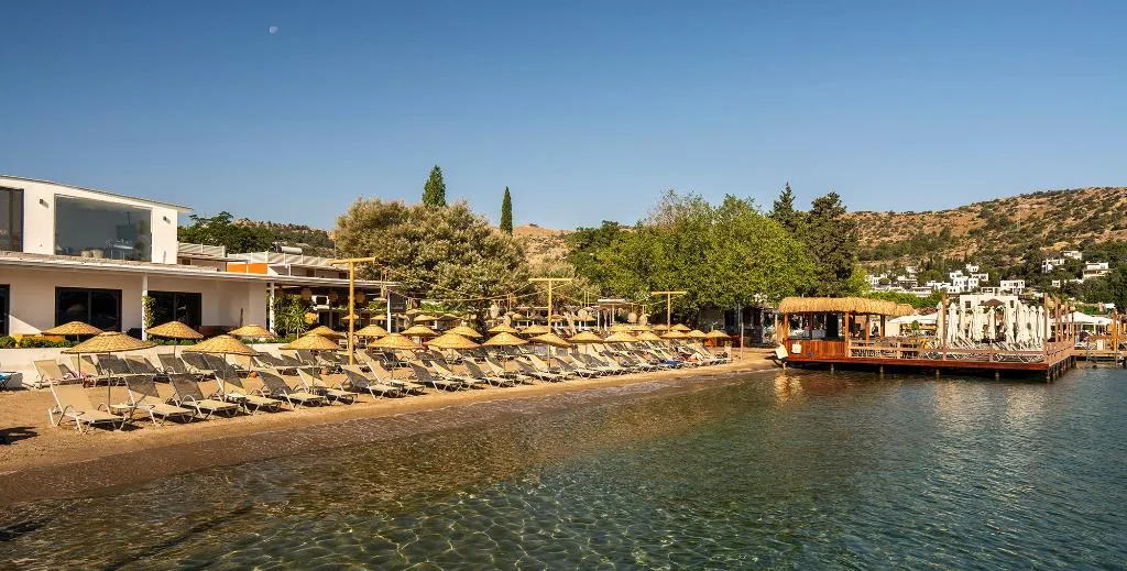 Bar, Daphnis Hotel, Bodrum