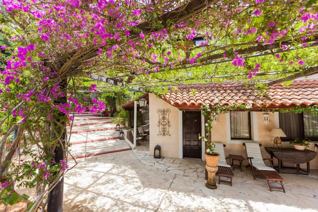General view, Cas Pla, Ibiza