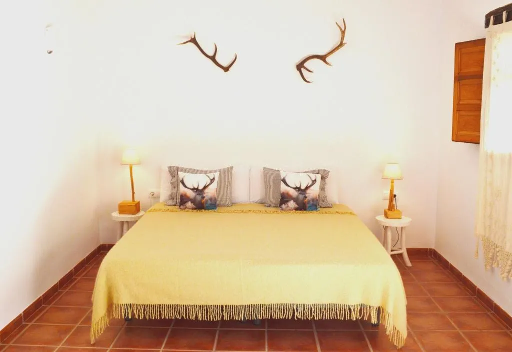 Room, Benali, Valencia