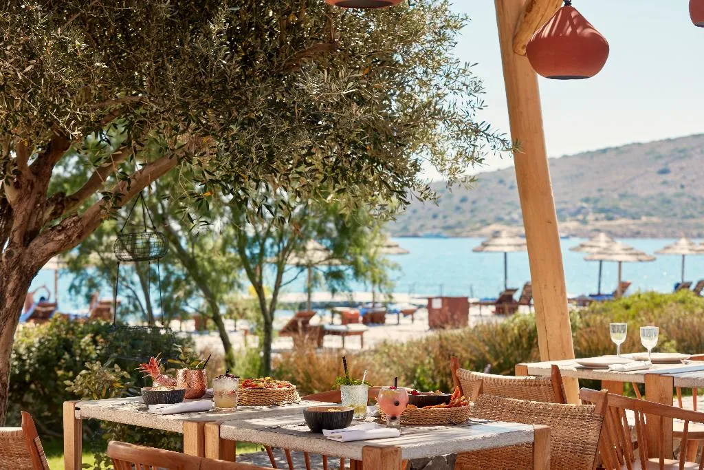 Bar, Phaea Blue, a member of SLH, Crete