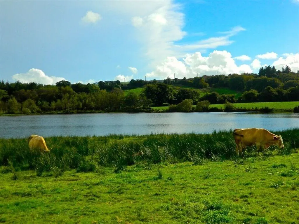 General view, Lake House B&B, Cork