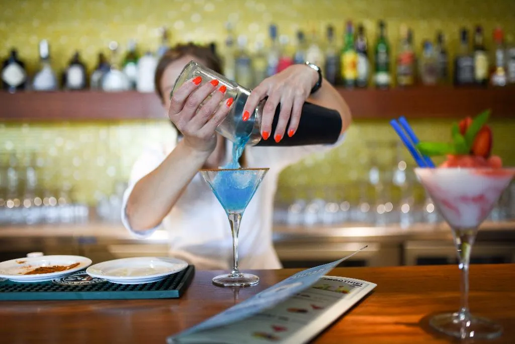 Bar, Aquashow Park Hotel, Algarve