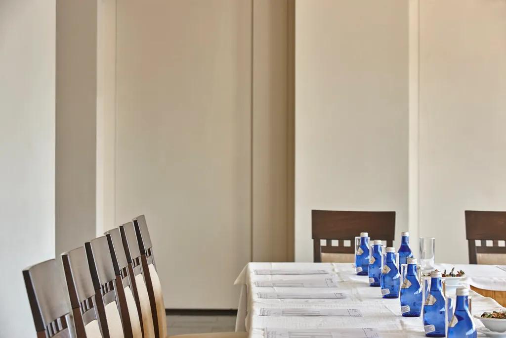 Conferences, Lucy Hotel, Athens