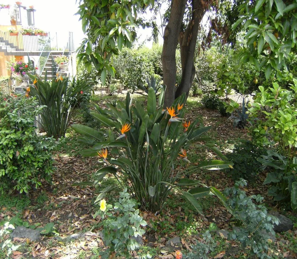 Terrace, Baglio delle Rose, Catania