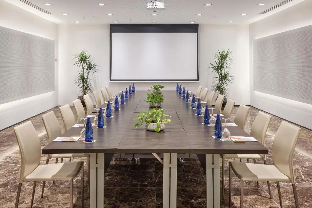 Conferences, Melia Sevilla, Seville