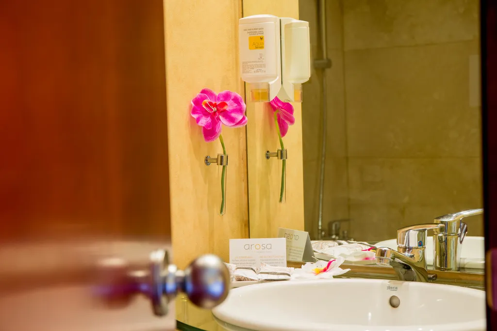 DOUBLE EXECUTIVE Room, Hotel Arosa, Madrid