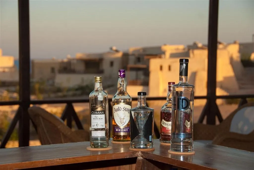 Bar, The Oasis Dive Resort, Red Sea Riviera