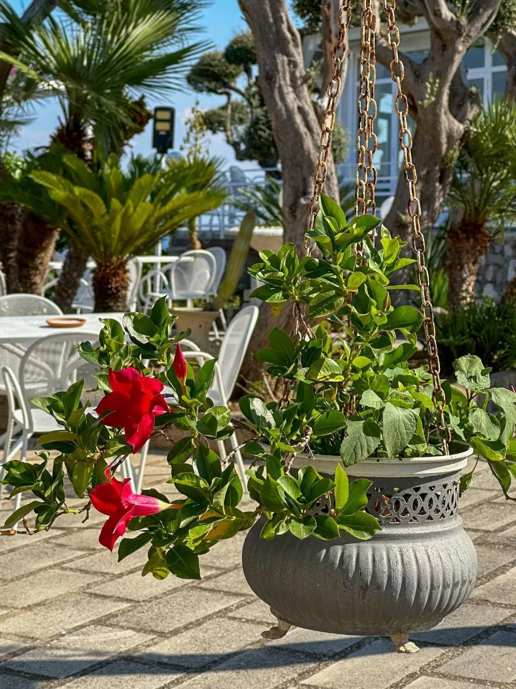 General view, Hotel Villa  Lubrense Sorrento, Naples
