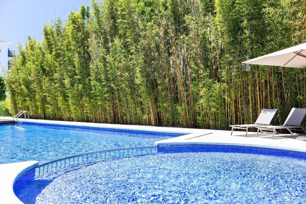 Pool, Aimia, Majorca