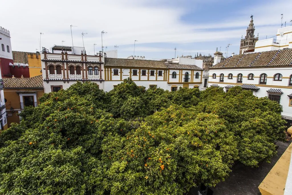 General view, Hotel Boutique Elvira Plaza, Seville
