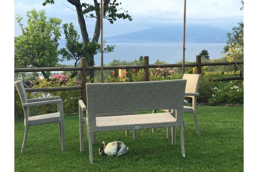 Terrace, Casale Antonietta, Naples