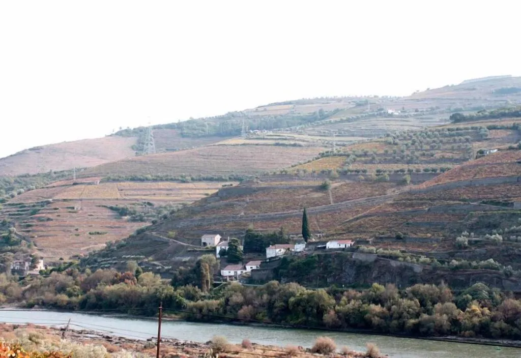 General view, Quinta De Casaldronho Wine Hotel, Porto