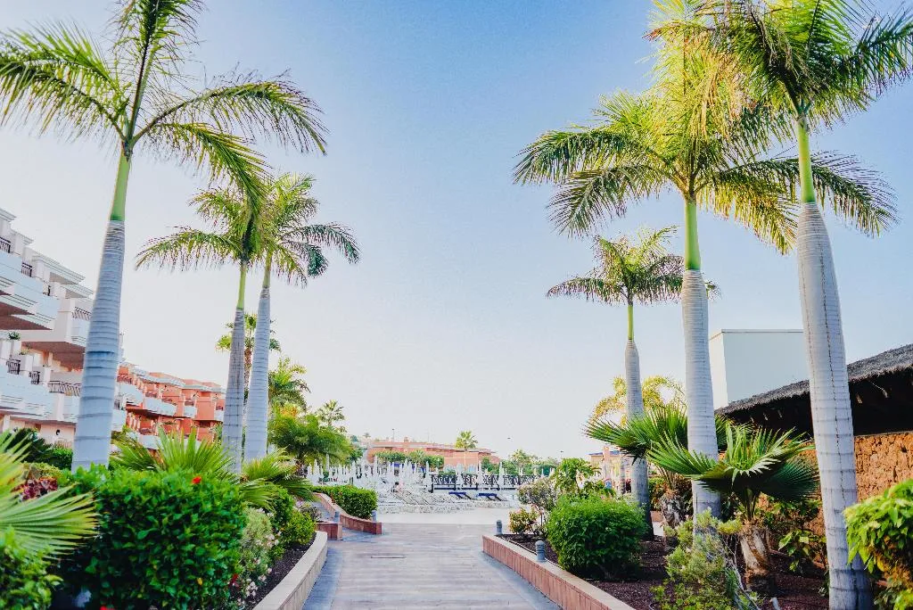 General view, Landmar Costa Los Gigantes Family Resort, Tenerife