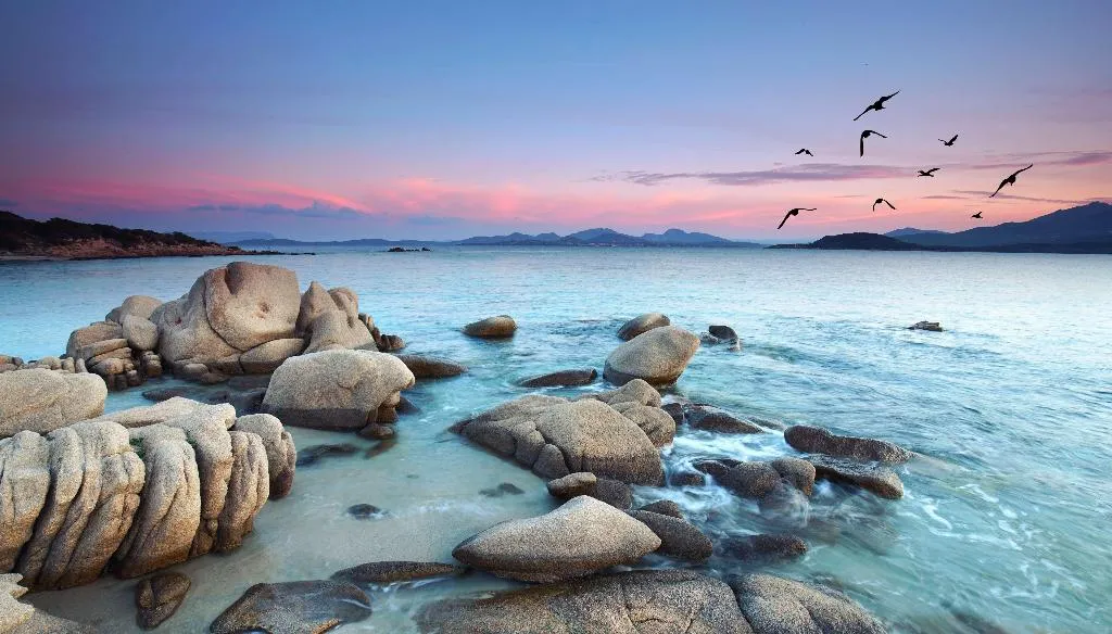Beach, 7pines Resort Sardinia Destination By Hyatt, Olbia