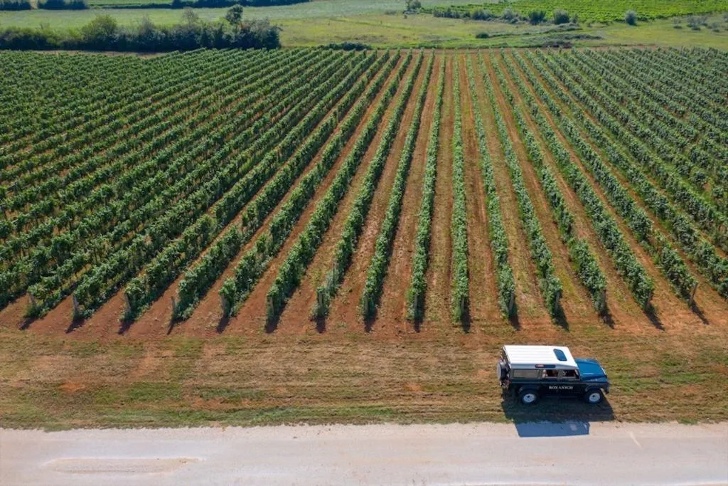 Sports and Entertainment, ROXANICH Winery and Design Hotel, Istria