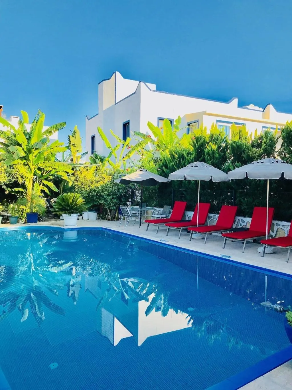 Sports and Entertainment, Artunc Hotel Bodrum, Bodrum