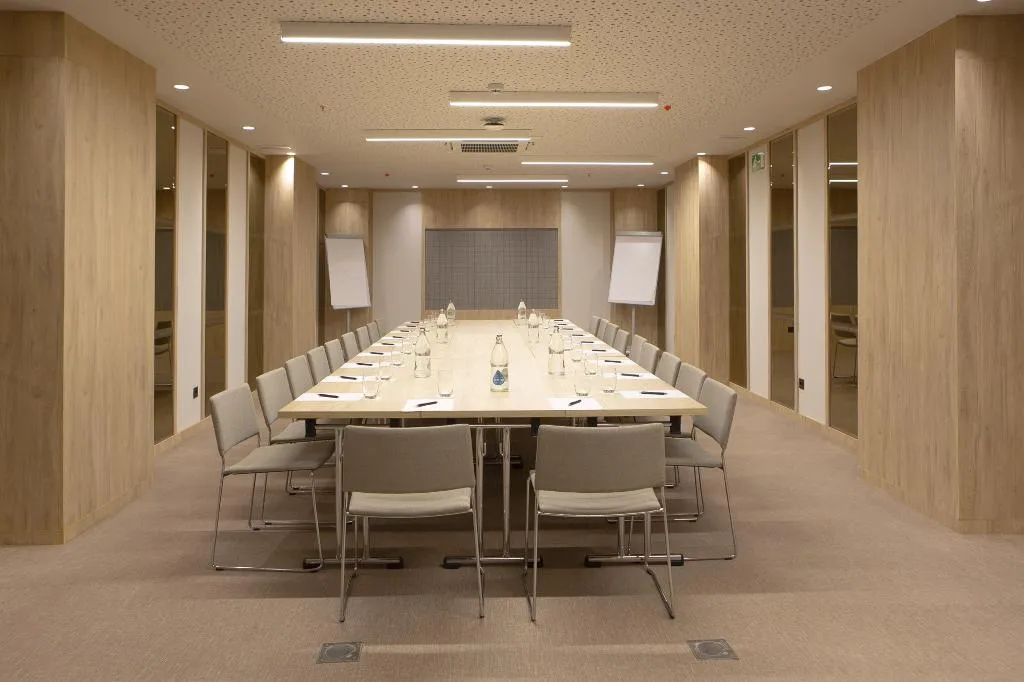 Conferences, Hotel Riu Plaza España, Madrid