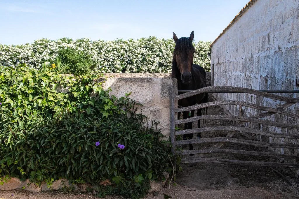 General view, Agroturismo Son Juaneda, Menorca
