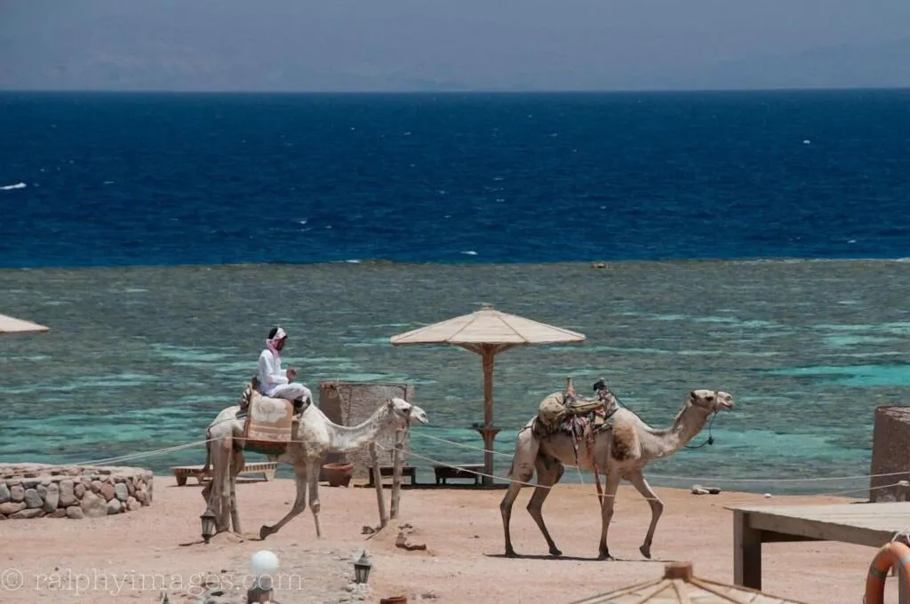 General view, Daniela Village Dahab, Red Sea Riviera