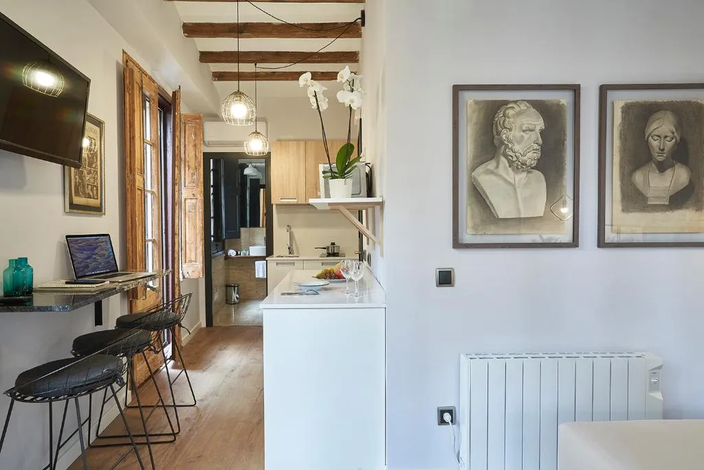 APARTMENT CAPACITY 2 Room, AinB Gothic-Jaume I Apartments, Barcelona