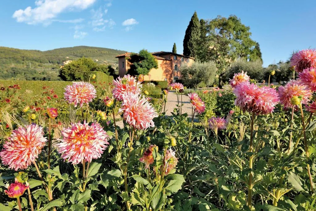 General view, Villa La Massa, Florence