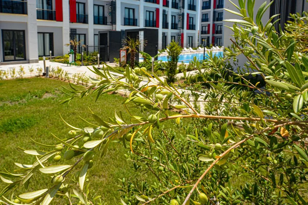 General view, C Suites Antalia, Antalya