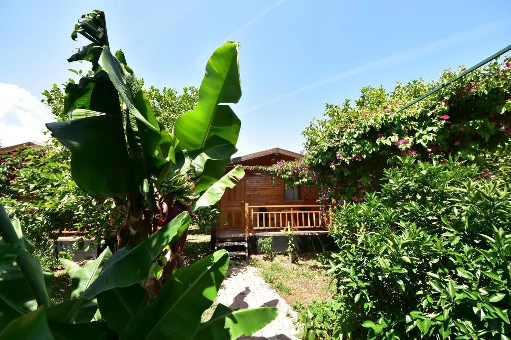 General view, Lemon Garden Lodge, Antalya