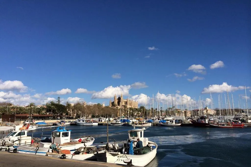 Sports and Entertainment, ICON Rosetó, Majorca