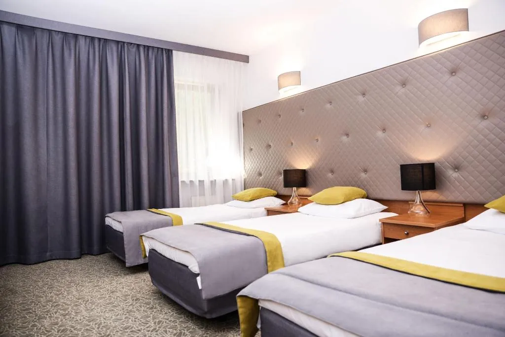 Room, Dwor w Tomaszowicach, Krakow