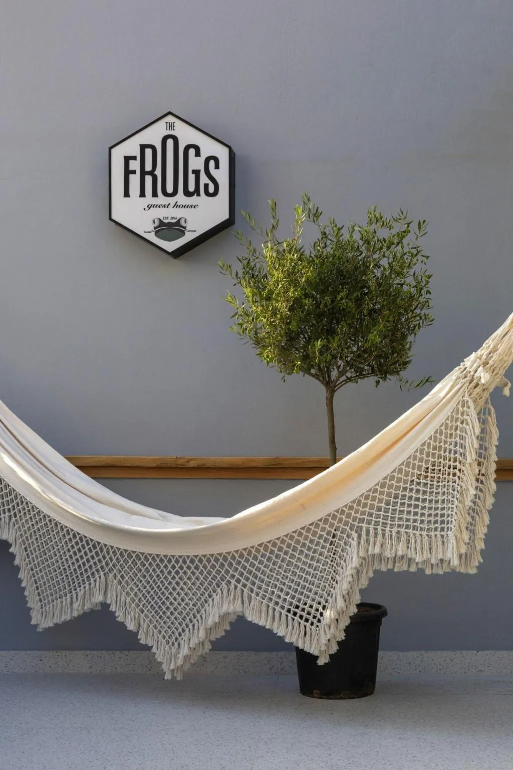 Room, The Frogs Guesthouse, Athens