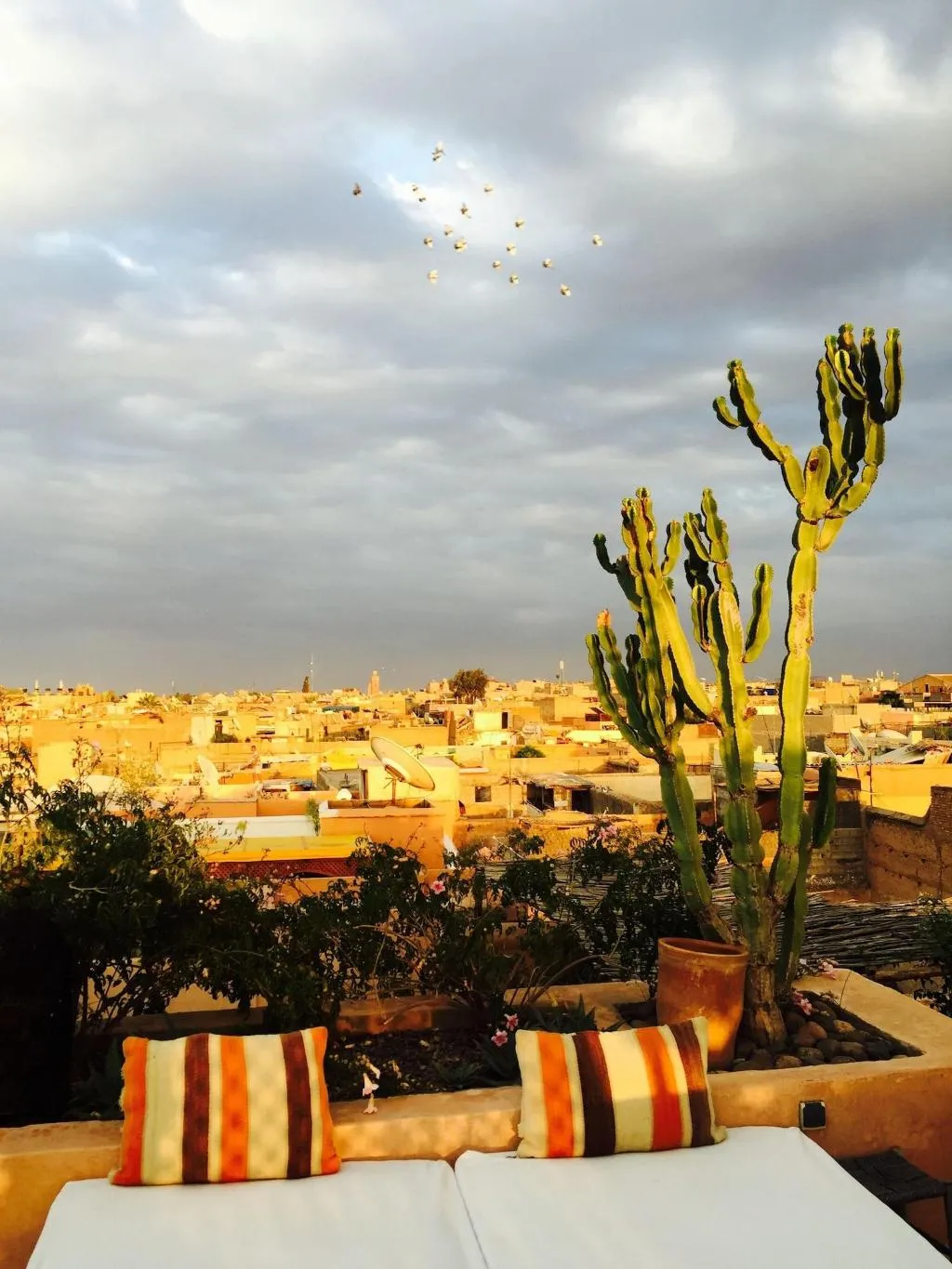 General view, Riad 144, Marrakech