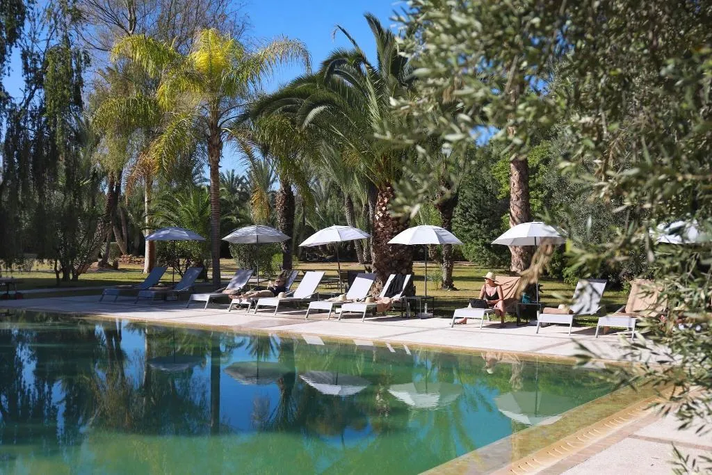 Pool, Villa al Assala Palmeraie, Marrakech